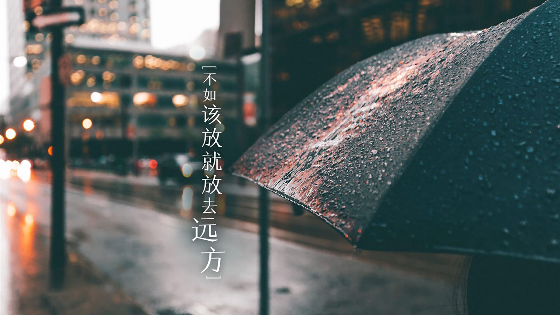开云体育app在线-世俱杯：南美豪门争夺世界冠军荣耀，世俱杯南美球队