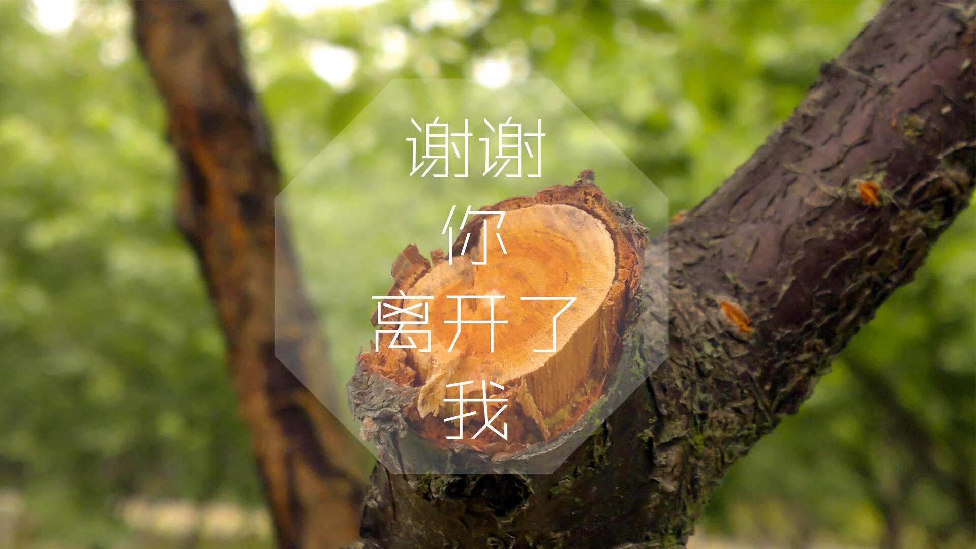 意甲裁判语义分析系统提升VAR判罚准确性的方法探讨，var裁判技术