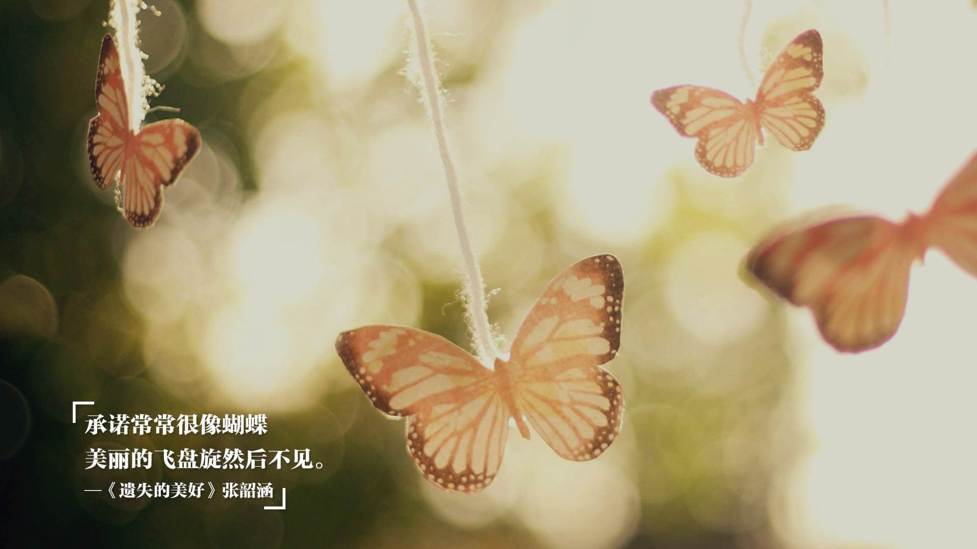 史密斯仰泳三连胜状态火热,史密斯教练