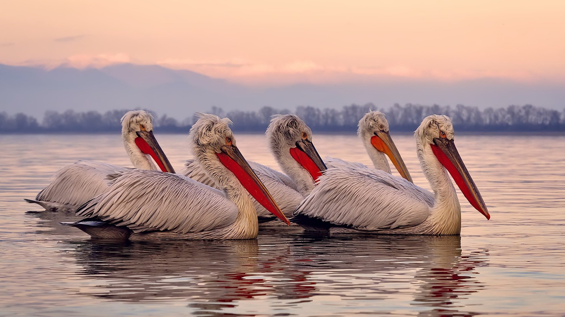 职业联赛外援管理档案缺乏系统维护