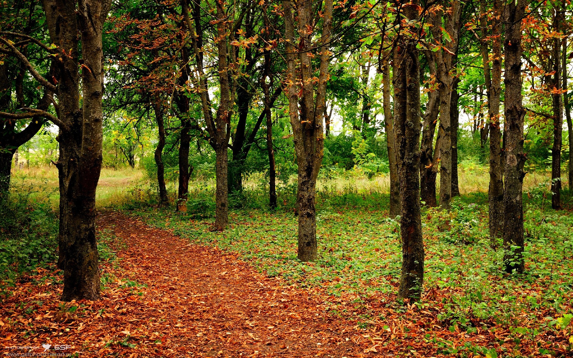 职业联赛外援管理档案缺乏系统维护