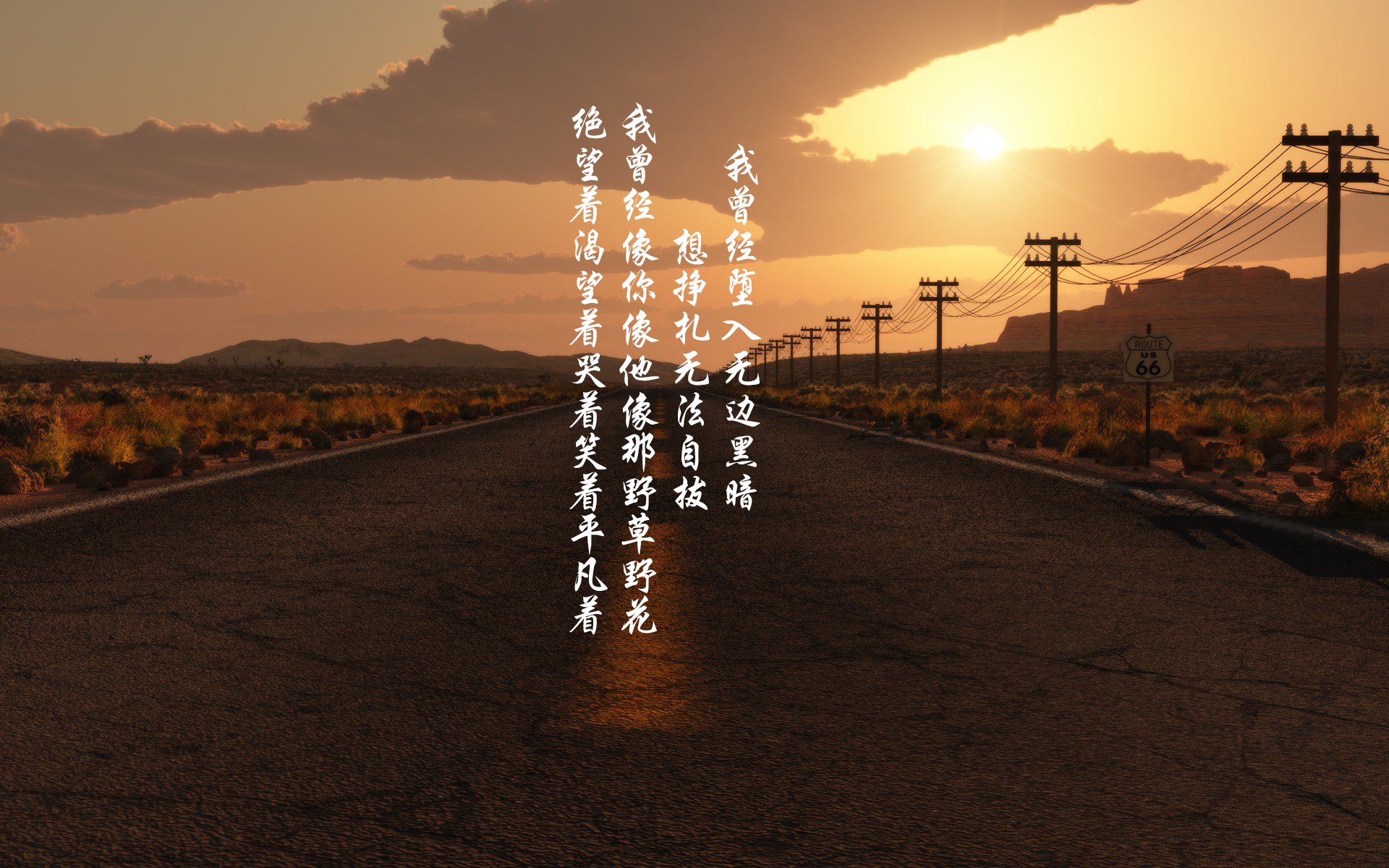 “华金·托比利亚的速度与反应力，为美洲狮队提供强大防守保障”